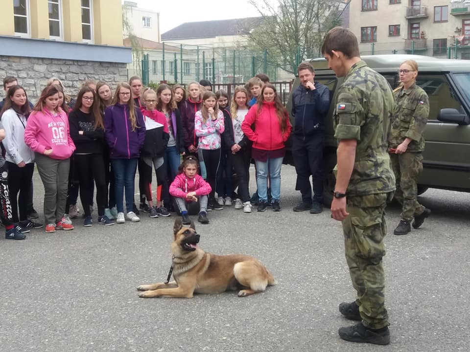 ObranaTweetuje's tweet photo. Psovodi z Agentury vojenského zdravotnictví ohromili žáky ZŠ T. G. Masaryka v Kutné Hoře, kam dorazili společně se zástupci odboru komunikace Ministerstva obrany v rámci projektu @pokos_army_cz. Nechyběla ukázka první pomoci či protichemické obrany. #AVzd #psovod pes #škola https://t.co/Ny5fiPWcIi