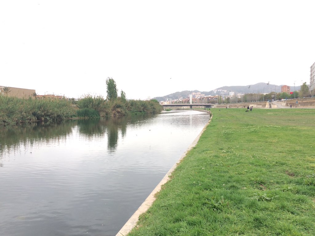 Guillem Vich tweet media