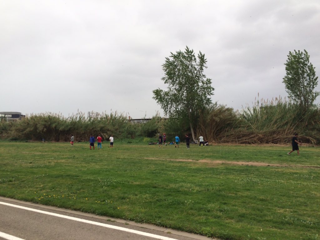 Guillem Vich tweet media