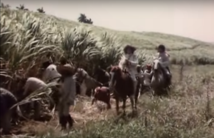 Captain Blood 海賊ブラッド 1935年 と奴隷の回し棒 Twitter