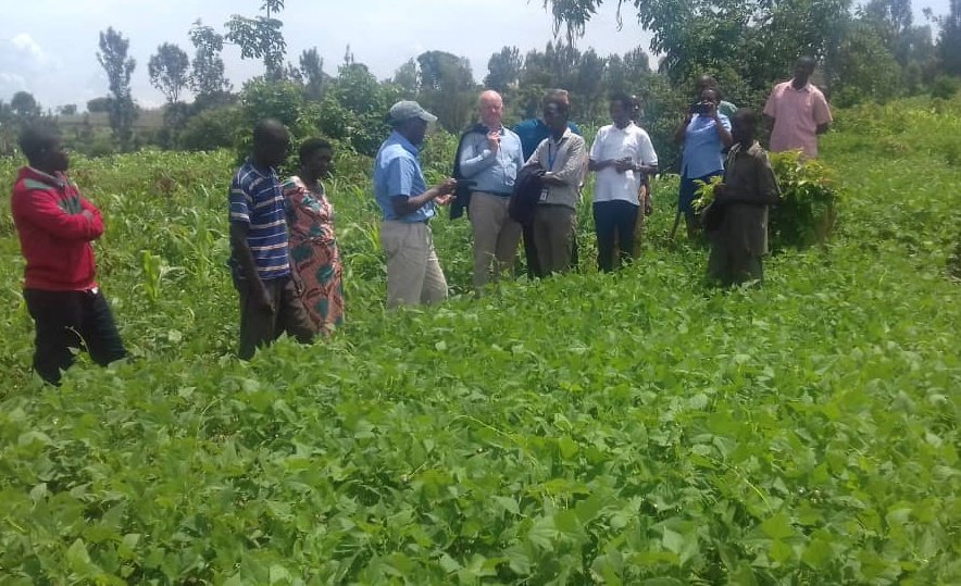 USAIDHingaWeze's tweet photo. Honoured to be joined by @USAID's Micheal Getta and @JeanDamasceneNy on a tour of our farming, nutrition and irrigation activities in @BugeseraDistr. Also exchanged ideas with beneficiaries how saving/nutrition groups continue to improve community welfare. #USAIDTransforms https://t.co/eTbLDLAgZn