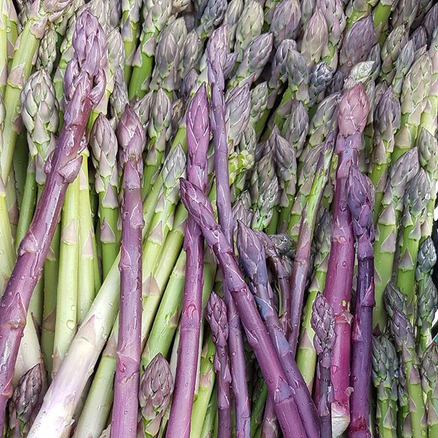 Today's haul! Enough said. #whiteleysfarm  #asparagusseason #asfreshasitgets bit.ly/2VrIHgh