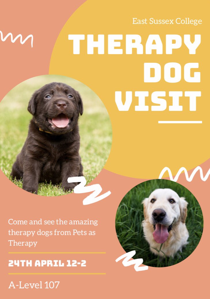Tomorrow the Pets as Therapy dogs are coming in to see students! They will be in Eastbourne A-Level centre room 107 from 12-2. Come along and see them 🐶