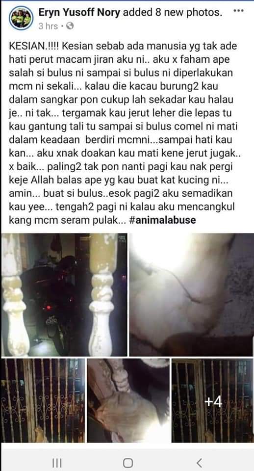 dapurmeow's tweet photo. Allahuakhbar!!! Dunia akhir zaman.. Manusia bukan lg makhluk yg suci.. Bukan lagi makhluk yg harus di kagumi.. Betapa bodohnye mereka betapa kejamnya mereka.. Tergamak lakukan begini.. Aku sumpah kepada perlaku akan terima balasan dr tuhan..
😭😭 Anyiaww tenang la kau di sana.. https://t.co/RdBF7NNr8u