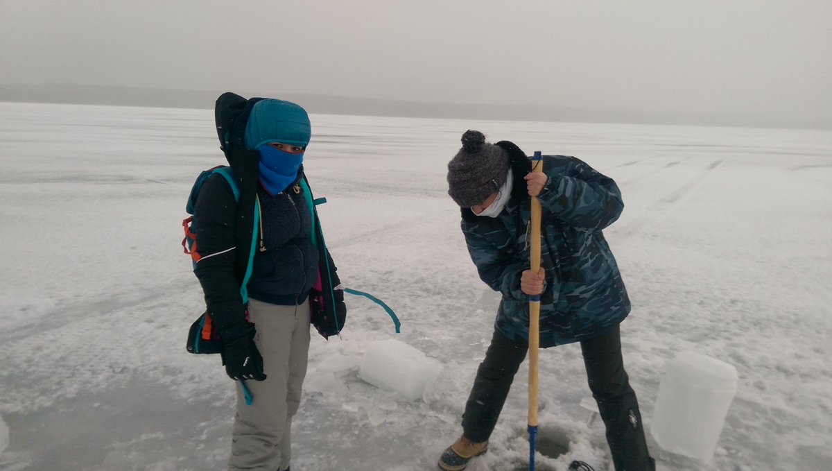 Now online our Life under Ice paper "Diurnal variation in the convection-driven vertical distribution of phytoplankton under ice and after ice-off in large Lake Onego (Russia)" lead by Ena Suarez