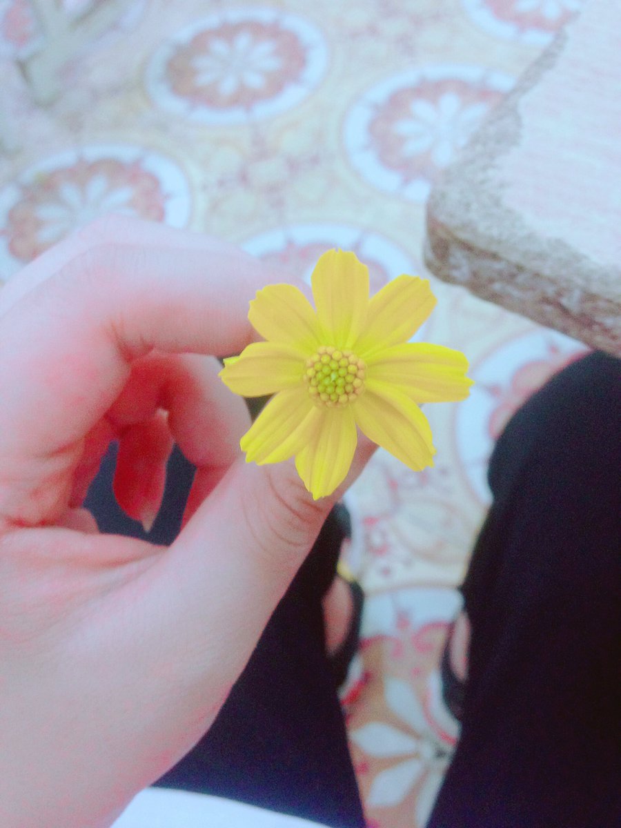 euphoria1107's tweet photo. Hoa đẹp hoa vẫn tàn :))
Tình đẹp tình vẫn tan :))
#BBMAsTopSocial #BTS @BTS_twt https://t.co/S5uglDUbdw