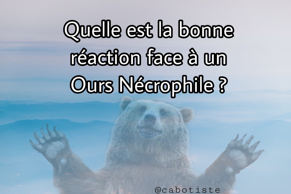 Batiste_LMS's tweet photo. Attention piège. La réponse n’est pas : « Faire le mort. » @BearGrylls 

#ours #nécrophile #tactique #survie #manvswild #manversuswild #miel #winnielourson #BoireSonUrine #EvitezAussi #LeGoutEstPasOuf #AuPireSuceLe #humour #mdr #blague #vanne  #marrant #cabotiste #cabot https://t.co/FIVt9j2qEK