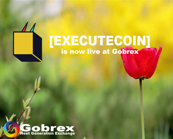 gobrexexchange's tweet photo. $XCQ is live at @gobrexexchange https://t.co/tXfmZDKRNA https://t.co/XjgrNDm818