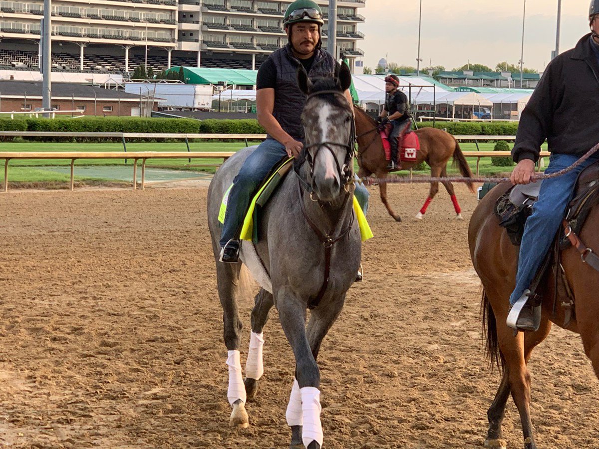 Zipseatthetrack's tweet photo. No horse has won both the Wood Memorial and Kentucky Derby since Fusaichi Pegasus in 2000. Trainer Bill Mott has yet to win the Roses. Streaks are made to be broken … This is Tacitus! https://t.co/zrU7dI8UTJ