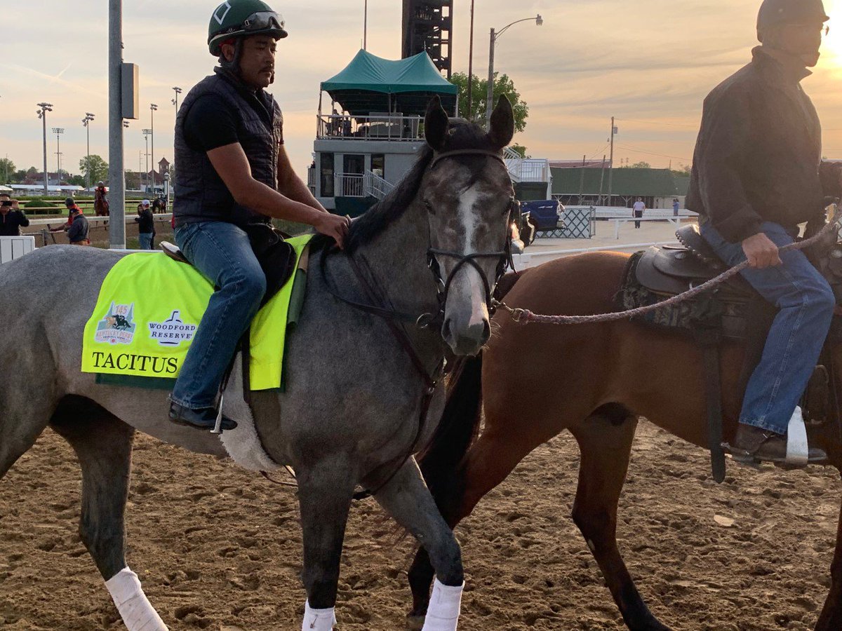 Zipseatthetrack's tweet photo. No horse has won both the Wood Memorial and Kentucky Derby since Fusaichi Pegasus in 2000. Trainer Bill Mott has yet to win the Roses. Streaks are made to be broken … This is Tacitus! https://t.co/zrU7dI8UTJ