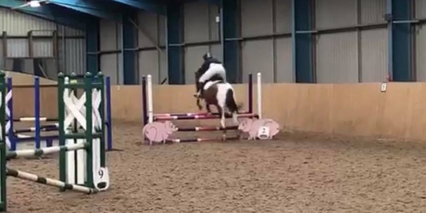teamkeele's tweet photo. Congratulations to Natalie from @keeleequestrian for competing in the BUCS Regional rounds last Wednesday 17th April in Nottingham! Natalie came 7th overall and just missed out on Nationals by 2 places.
Congratulations on a great performance! 🏇 https://t.co/dda1BbL0nq