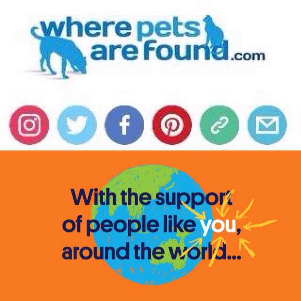 Thank you for supporting our work for #LostPets, we need a little extra help please.

You'll be supporting a website upgrade &amp; related expenses, to keep us running.
Please help <a href="/PetsAreFound/">Where Pets Are Found</a> with a Donation or a #RT

paypal.me/WherePetsAreFo… 
or
paypal.me/WherePetsAreFo…

Thank You!