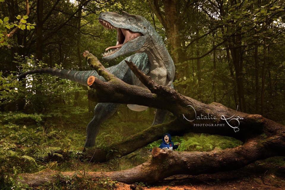 NatalieLouPhoto's tweet photo. *DINOSAURS &amp; FAIRIES* Sat 18th May &amp; Sat 8th June - Spring Wood, Whalley*

£40 - including 3 digital images, with the option to buy more if you wish..

Or £60 - including 6 digital images, with the option to buy more if you wish. 

Full payment required at the time of booking! https://t.co/a7YFgb3OFO