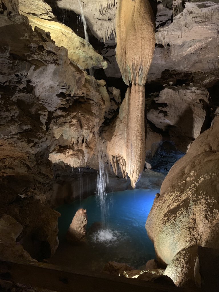 danadyer16's tweet photo. Well....my last field trip sure was an awesome one!!! Cumberland Caverns is always the best!! https://t.co/KJ3TrrqUCd