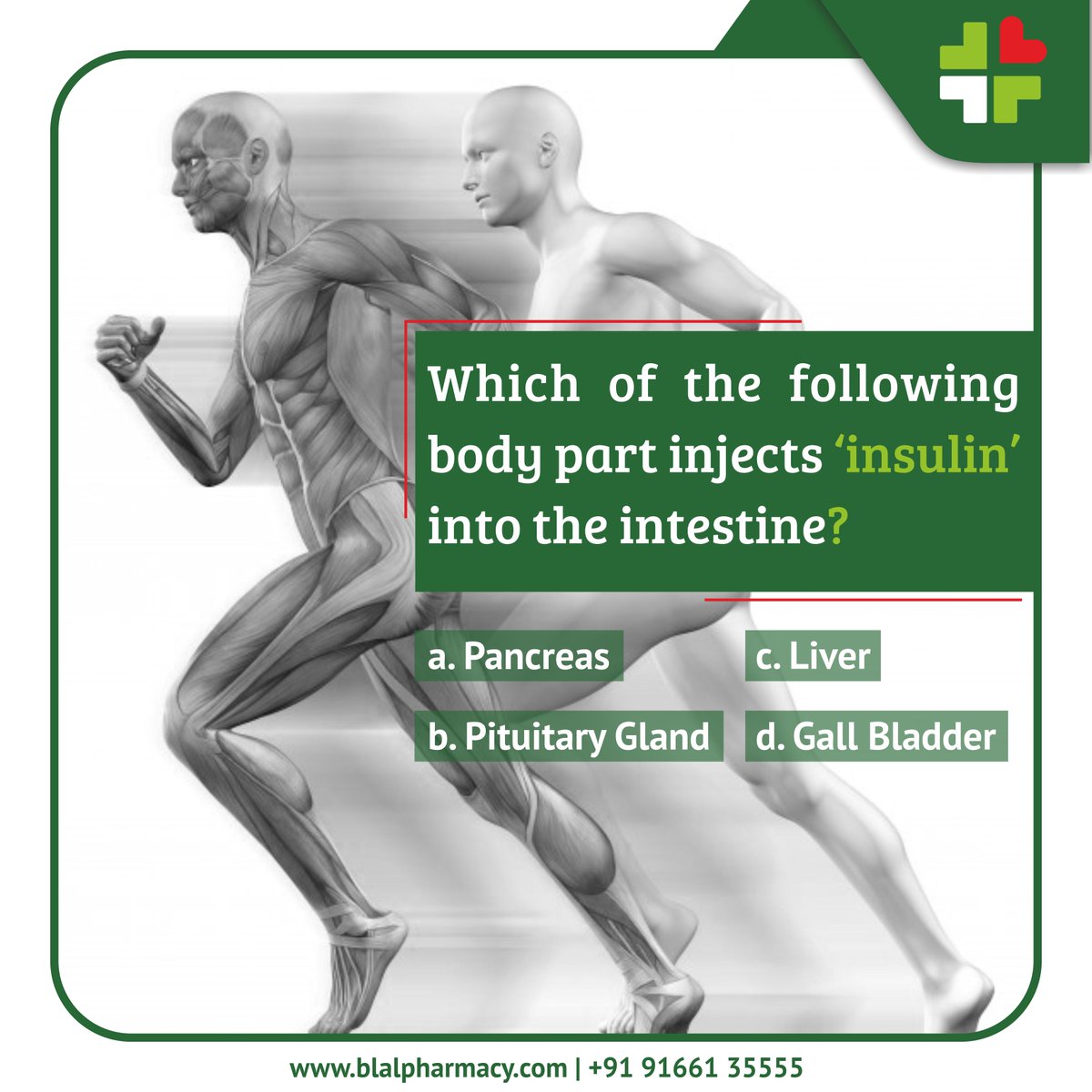 DrBLalPharmacy's tweet photo. #HealthQuiz | How many of you can answer this question?
#DrBLalPharmacy #Insulin #Quiz #HealthQuestion #Question #Jaipur https://t.co/3NK9qc8JRV