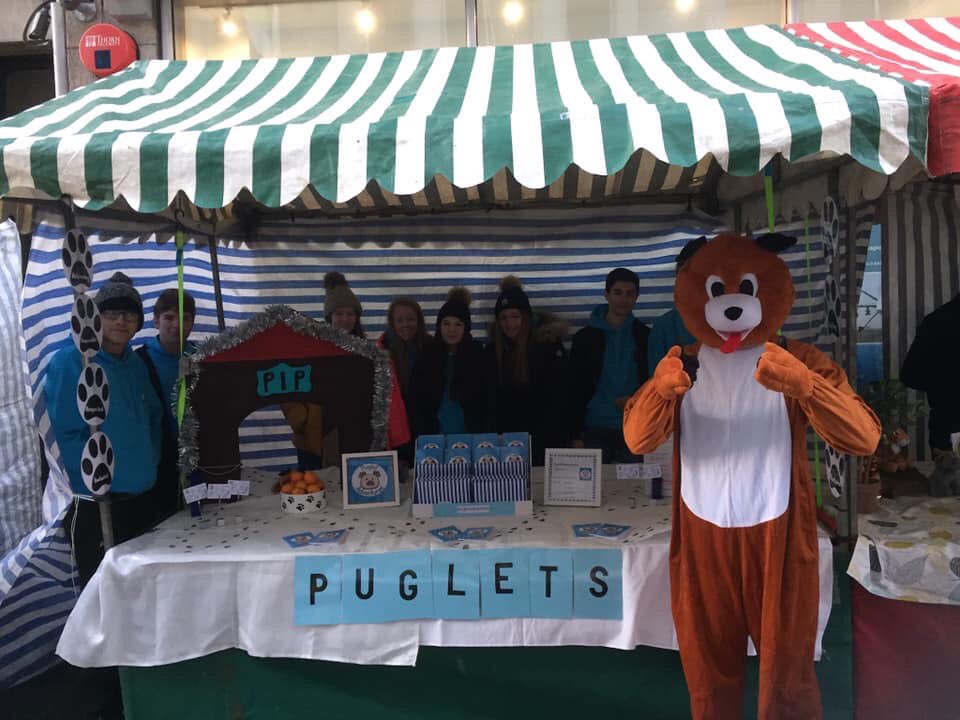 Puglet Adventures tweet media