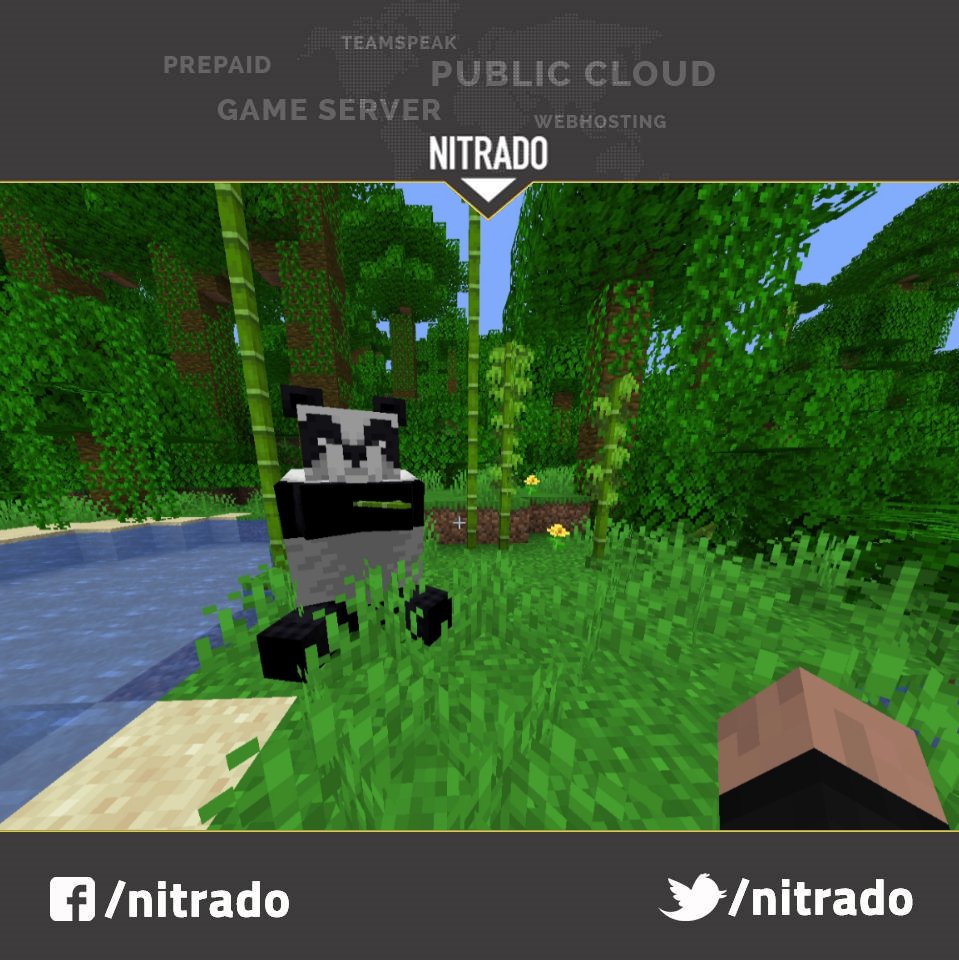 Nitrado Minecraft Server Version Andern
