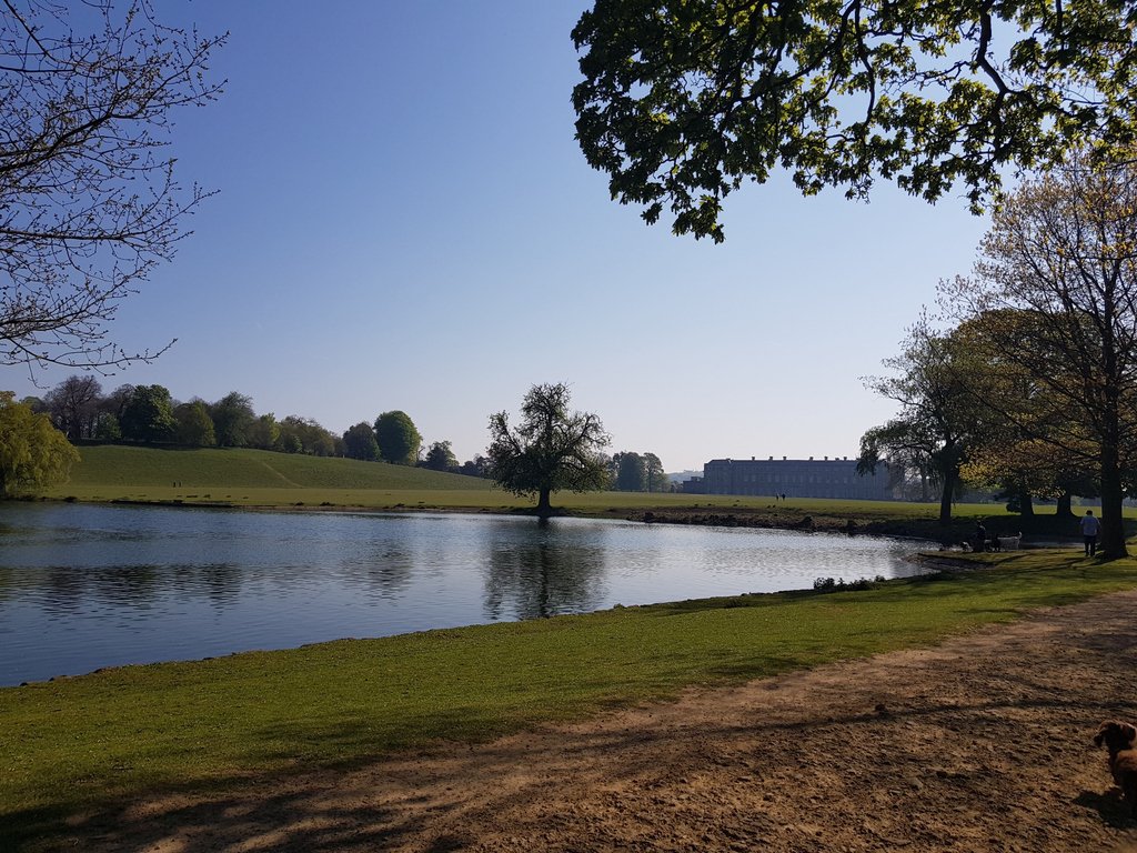 OttocentoLtd's tweet photo. In 17 days on the 10th May Petworth Art and Antiques fair @adflfairs will be opening its doors again.  The fair is located in beautiful Petworth Park and runs from 10th-12th May.  We will be at stand 49 and we look forward to seeing you there. ⁣ https://t.co/CQlvwwPv6D