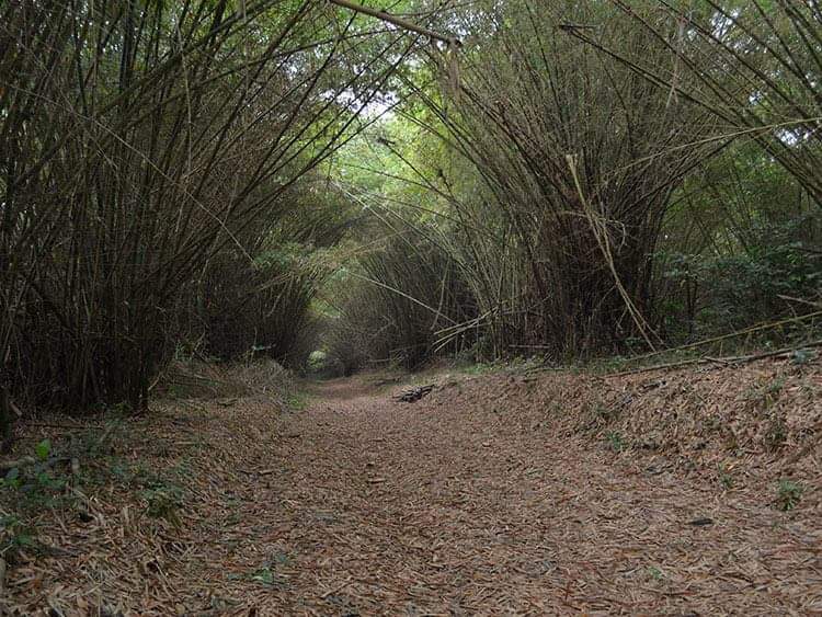 AltitudeMag tweet media