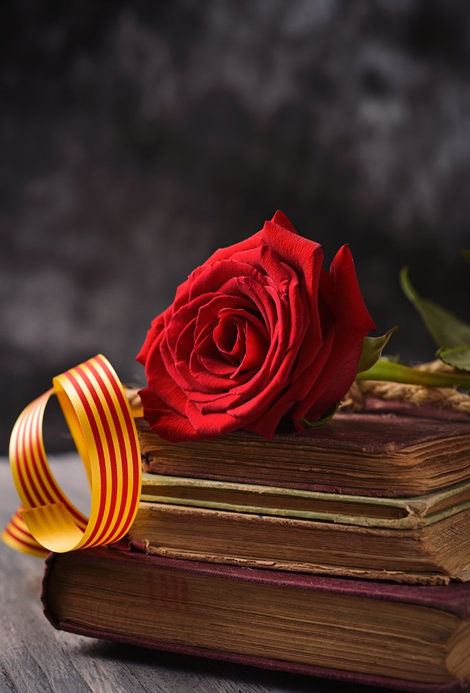 MarinaChC's tweet photo. Feliç Sant Jordi!! https://t.co/j05qBGPWPm
