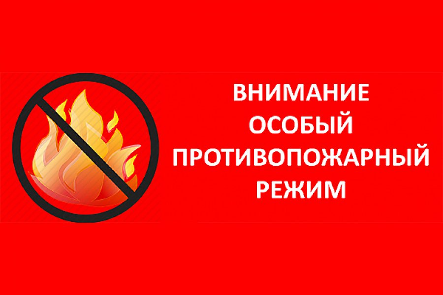 Ввиду установившейся пожароопасной погоды и резкого увеличения количества возгораний постановлением районной администрации с 15 апреля по 31 мая на территории Сурского района вводится особый противопожарный режим.