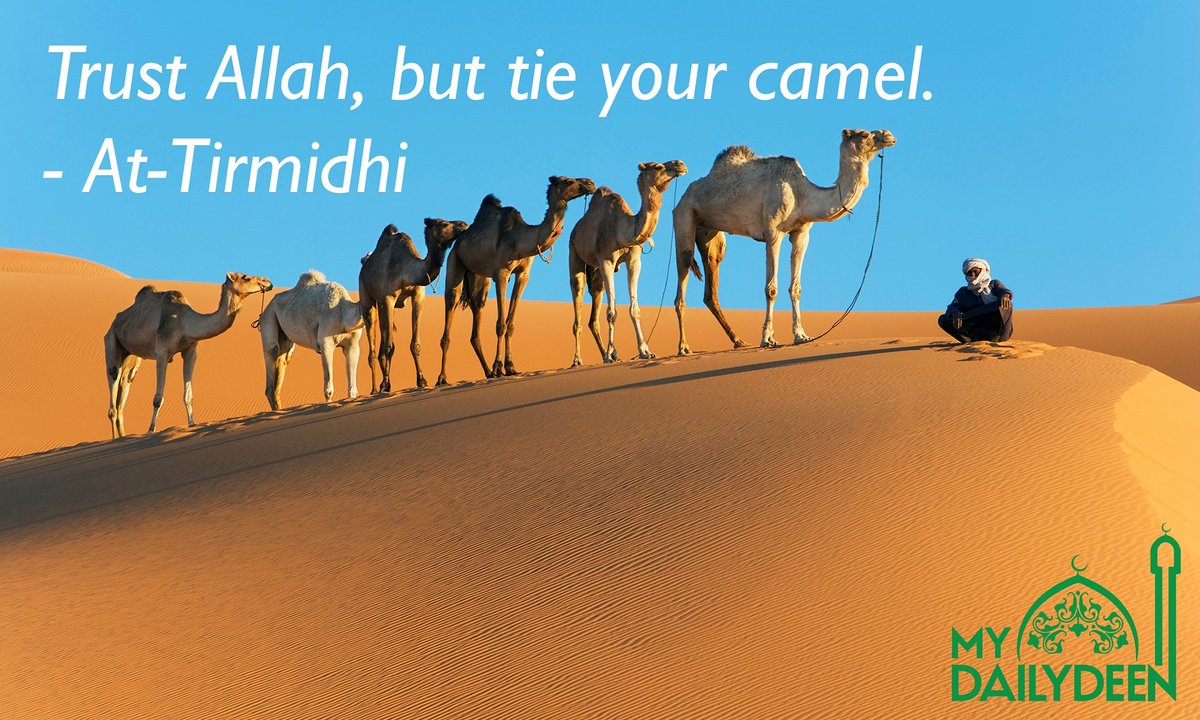 Tie your camel hadith