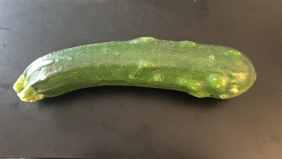 sacersan's tweet photo. A mi #calabacin le han salido estos bultos y no los tenía cuando lo compré, ¿alguien podría decirme a qué se debe o si es seguro comérselo? #dudaseria #mutacion #verduras #abroaverquehaydentro Con lo puesta que estoy en #transgenicos #nuclear y #vacunas me surgen ideas chungas. https://t.co/QfXrvX4Os1