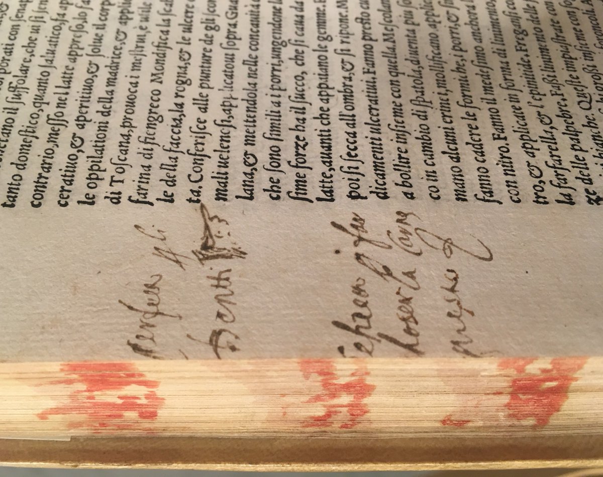 We almost couldn’t decide whether to post this for #ManiculeMonday or #ForeedgeFriday. This copy of Della agricoltura [631 TAT] includes a #manicule with ruffled cuff & accompanying #marginalia, while the #foreedge seems be a simple example of paste painting. #MarginaliaMonday