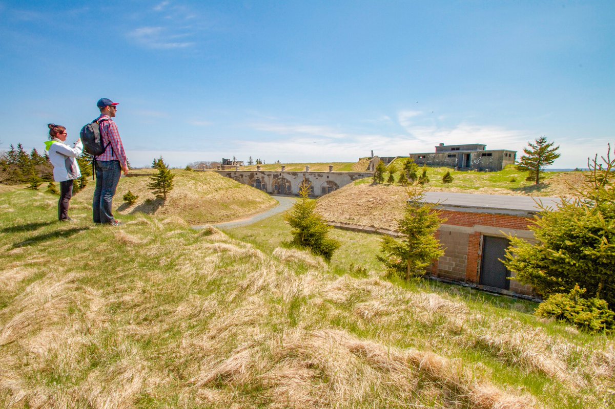 Build Nova Scotia tweet media
