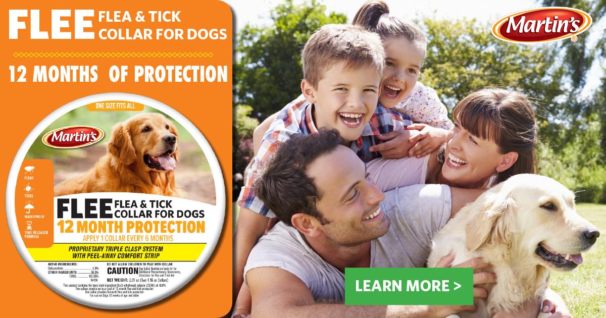 MartinsBrand's tweet image. Get 12 months of protection from FLEE Flea &amp;amp; Tick Collar for dogs! #fleaprotection #fleas #ticks LEARN MORE &amp;gt; hubs.ly/H0hc_Xg0