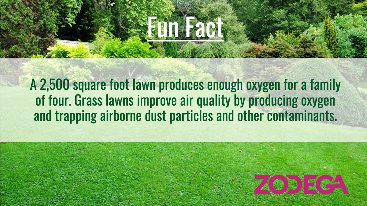 ZodegaHouston's tweet photo. Do you know how much oxygen a lawn produces? https://t.co/ecia08owk5