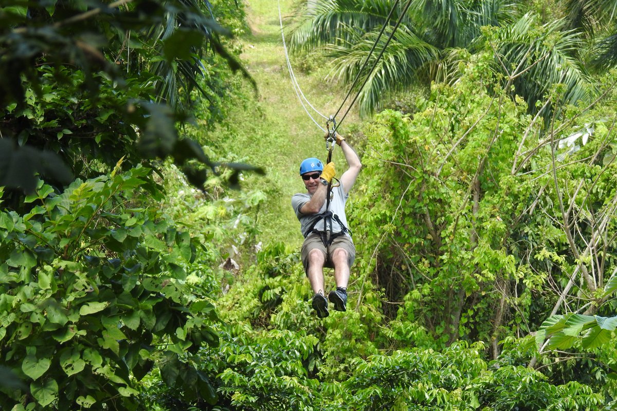 rainforestzippr's tweet photo. Adventure in the forest... Come and be part of this experience! 787-370-1010 #forest #elyunquenationalforest #zipline #ziplineadventure #adrenaline #extreme #puertorico #riogrande #fun #familyactivity #welovepr https://t.co/i2MHJ87cOQ