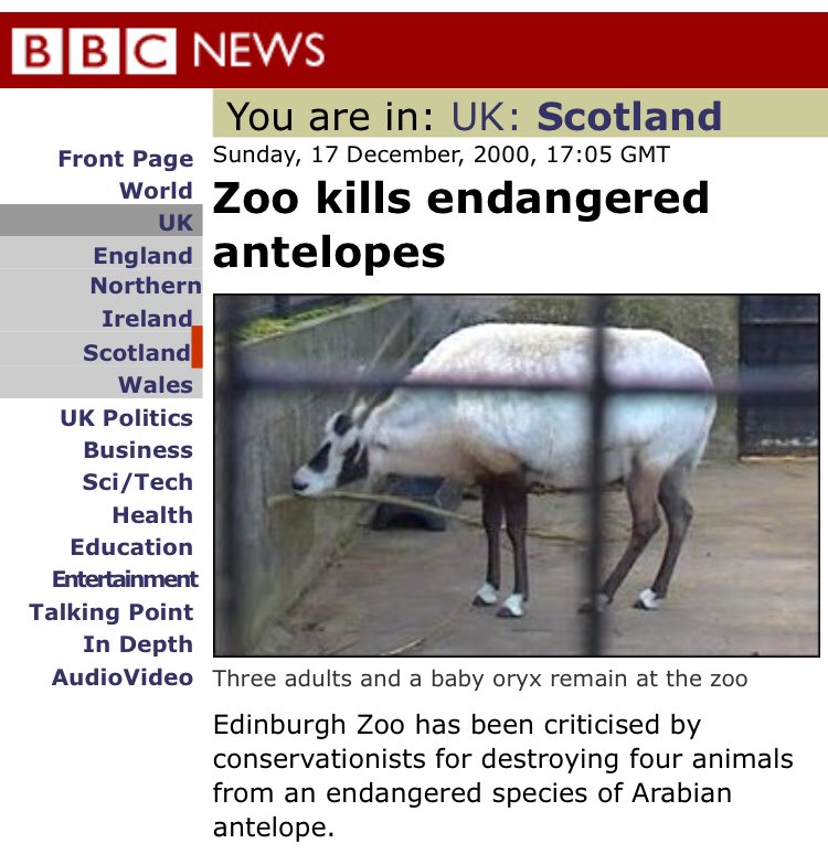 Link below! The killing of healthy endangered animals by Edinburgh zoo was an issue I focused on at yesterday’s zoo protest. BBC News #Scotland Zoo kills endangered antelopes #zooawarenessweekend #Edinburgh #DontBuyCaptivity 

news.bbc.co.uk/1/hi/scotland/…