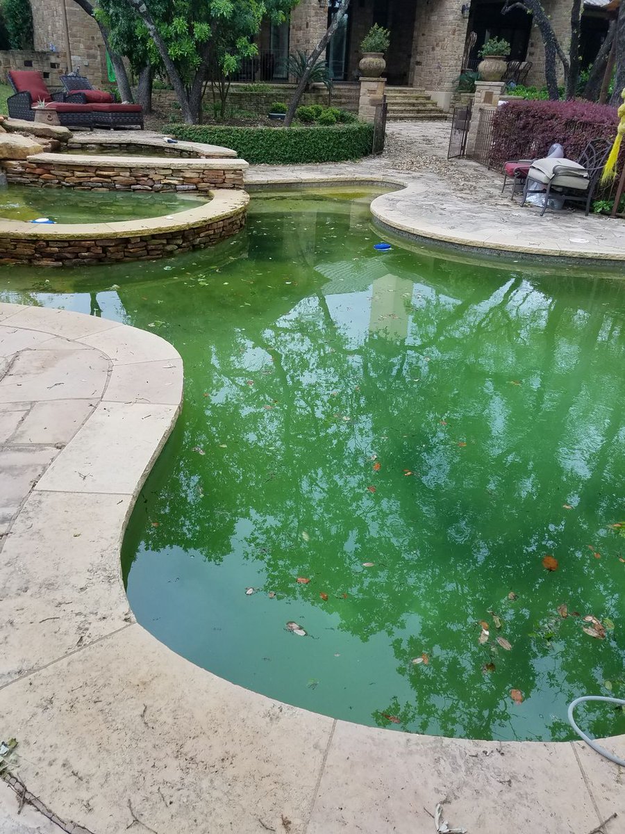 EasyPools's tweet image. Your pool get hit with Spring Fever? We can help you recover it. From maintenance to Pool School to parts and chemicals, we make pool care Easy! #EasyPools