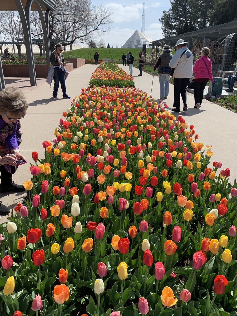 Denver Botanic Gardens On Twitter Bloom Alert About Half Of