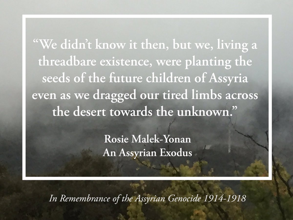 Rosie Malek-Yonan tweet media
