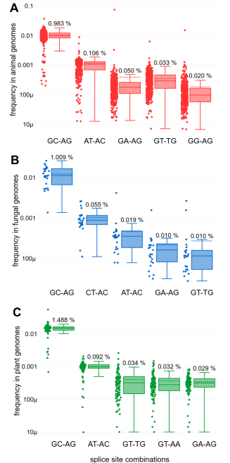 Please RT: 'Animal, fungi, and plant genome sequences harbour different non-canonical splice sites' by @katharina_frey_ 

bit.ly/2IBGZmb

#Python scripts are <a href="/github/">GitHub</a> 

#genomics #bioinformatics #RNAseq #datascience <a href="/CeBiTec/">CeBiTec</a>
#AcademicTwitter