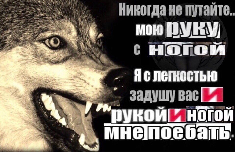 Kvir Koded Kroki On Twitter Minkovski