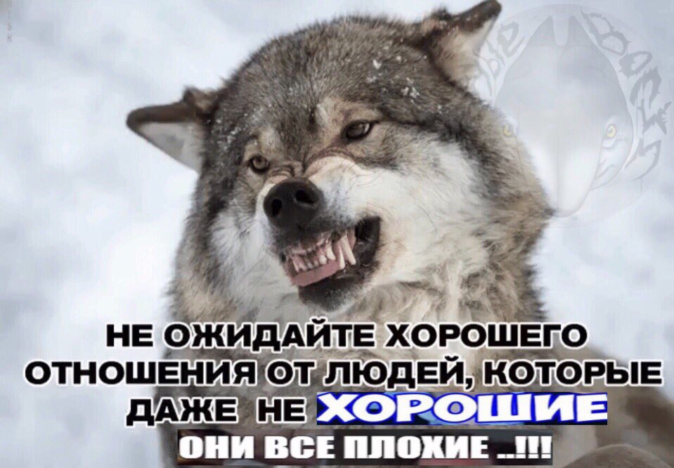 Kvir Koded Kroki On Twitter Minkovski
