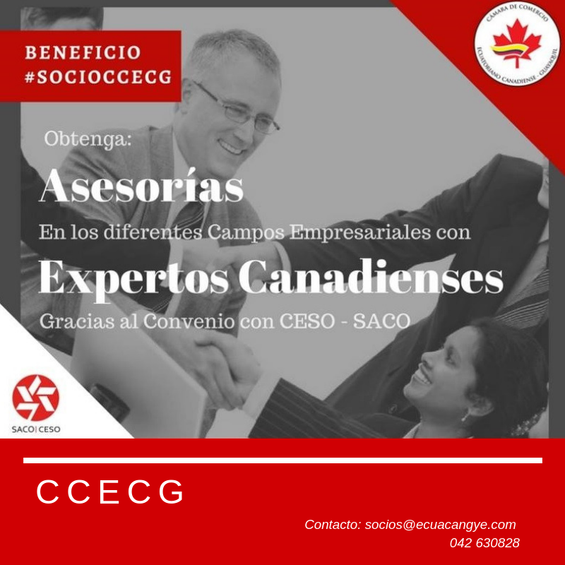 CamaraCanadiens's tweet photo. Contamos con Asesores Canadienses para cualquier área; gracias al acuerdo con la organización CESO-SACO, Canadá. Beneficio exclusivo para #SOCIOSCCECG. Para mayor información contáctese: socios@ecuacangye.com // 04 2630828 – 2630828 https://t.co/xIoFtmbVdS