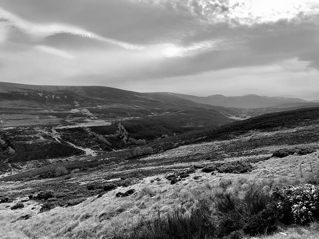 RichMonochrome's tweet photo. Ballindalloch #highlands #cairngorms #scotland #scotlandexplore #andyandrichgethitched #andygetsrich #monochrome https://t.co/kEzMWpYz7w