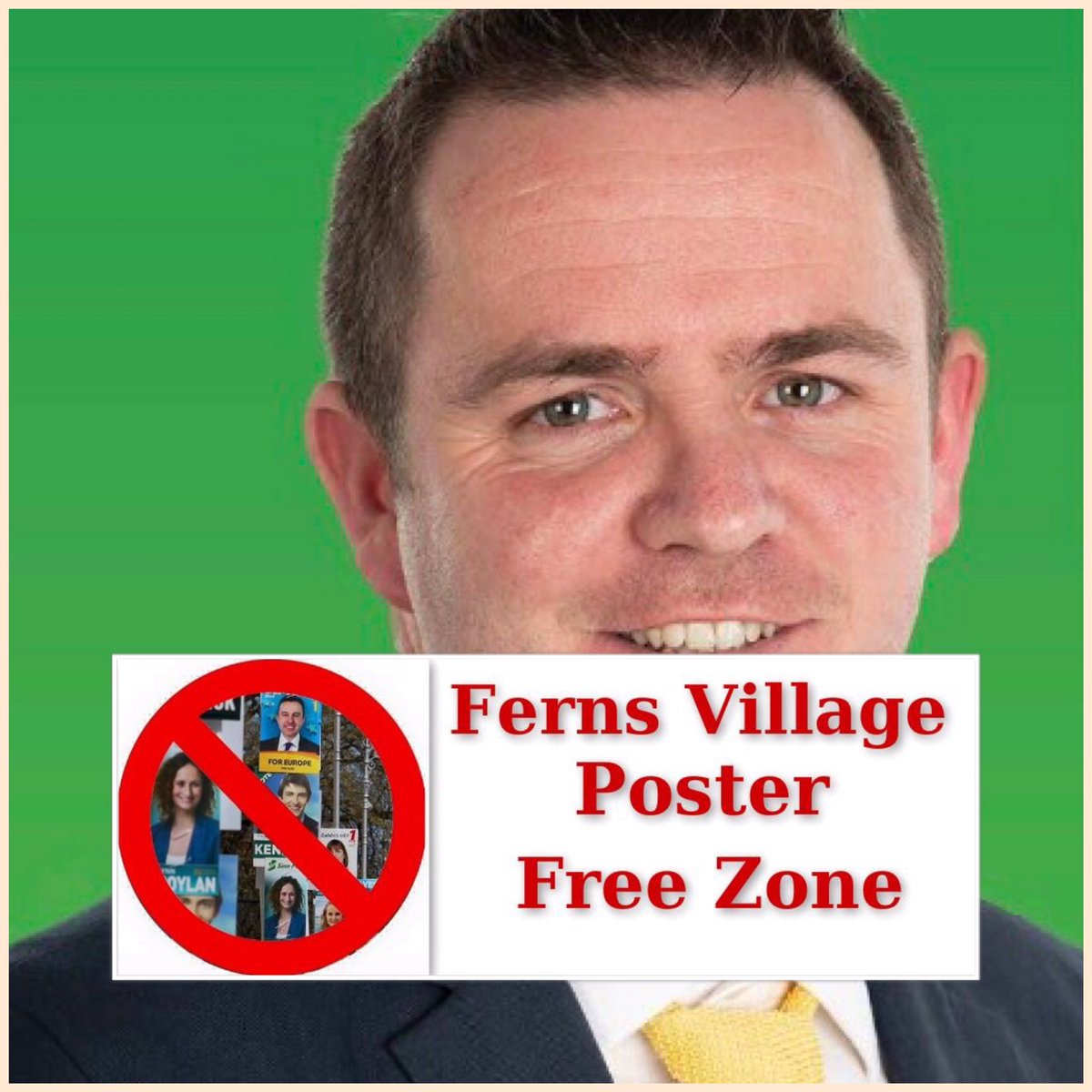 Aidan Browne, Fianna Fáil candidate, Enniscorthy Municipal District has been in contact to say he will not erect election posters along the green areas or within the town limits on all approach roads to the village or in pollinator areas. #posterfree  #LE19 @fiannafailparty