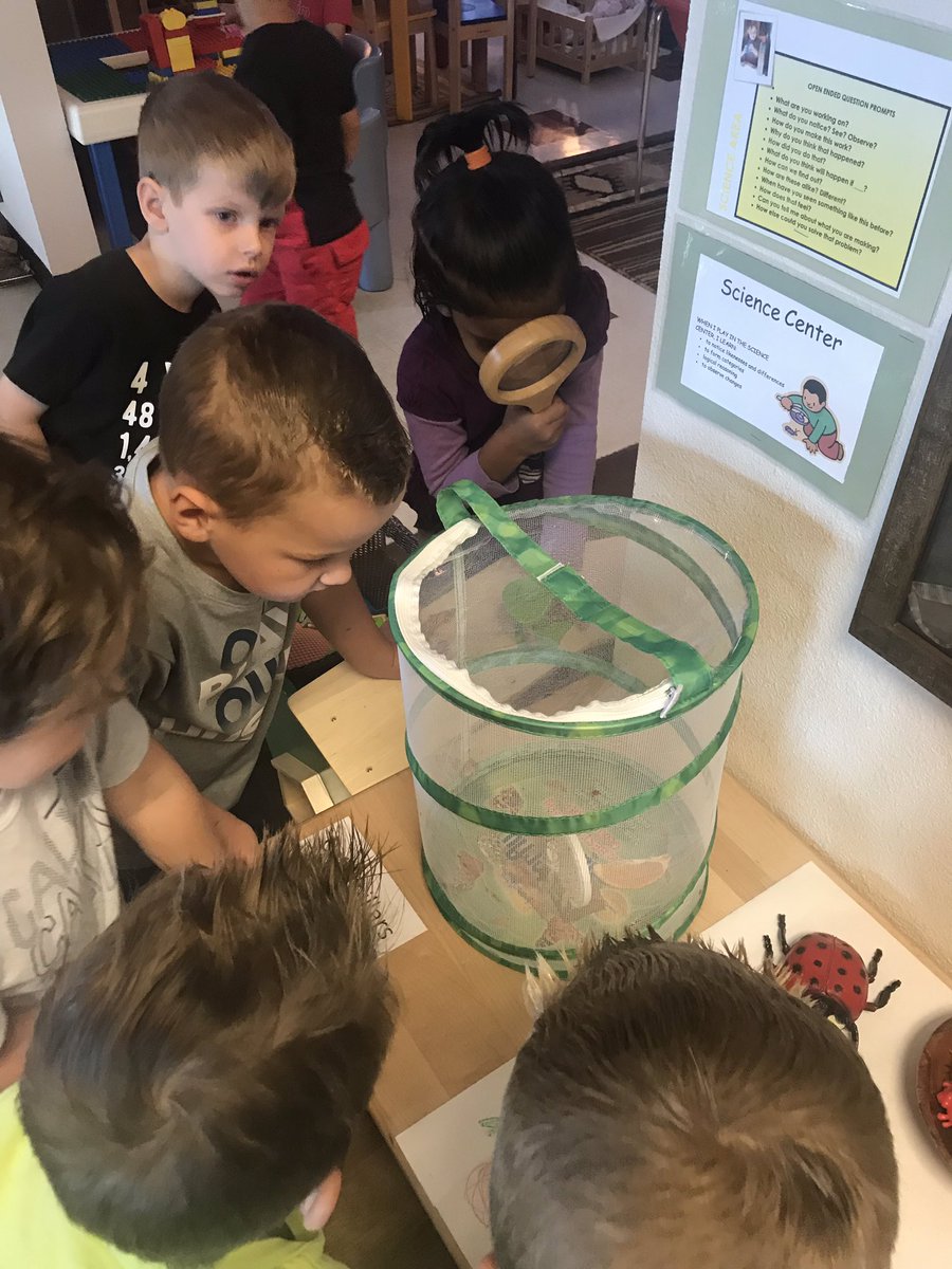 RidgeLions's tweet photo. Welcome back to butterflies this Tuesday morning🦋💛 #science #caterpillarstobutterflies #springtime @RidgeLions @CommunityDv https://t.co/QFeyBdeWq4