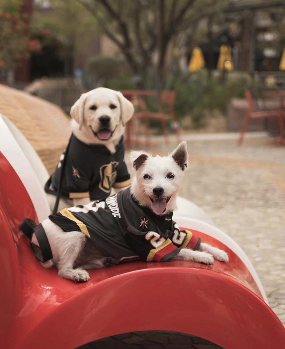 Let’s “U-Knight” #Vegas! Pregame at The Park with your squad and join us at Toshiba Plaza for the Offical <a href="/GoldenKnights/">Vegas Golden Knights</a> Game 7 watch party! #KnightlifeatThePark 

📷: rangerthevegaslab on IG