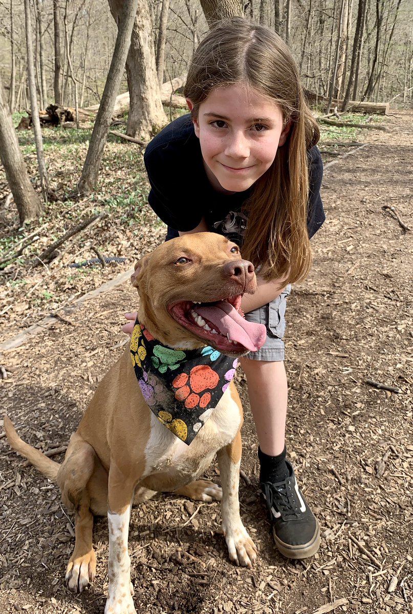 IvePetThatDog's tweet image. I pet Indi. She is two years old and was adopted from a rescue. Indi is an adventurous dog who likes to do her own thing. She loves to run in the creek. She can run really fast! At night, Indi hogs the bed. If you try to move her, she grunts and grumbles at you.