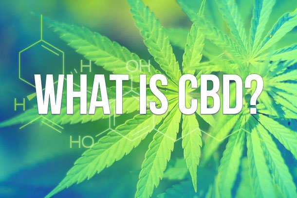 Seabedee2's tweet photo. The questions about CBD that require more clarity are (1) What are the long term effects of its use? (2) Is there an application for CBD in the short term? To know more about CBD OIL, Click here:- https://t.co/qaEOrJLFwX
#cbdoil #CBD #TravelTuesday @cbdusersgroup https://t.co/39RLbiESoK