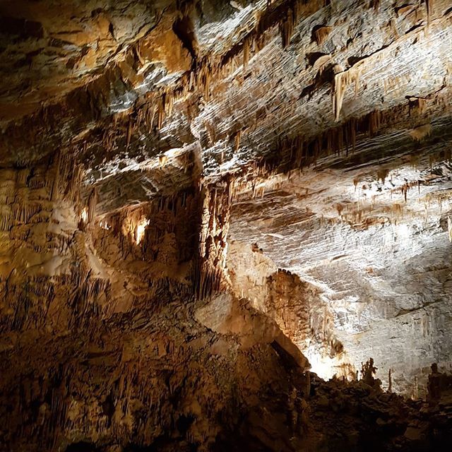 LifeInMotionE17's tweet photo. Yet more beautiful caves. https://t.co/U7w2MhWJE0 https://t.co/rlZ1I1CC2d