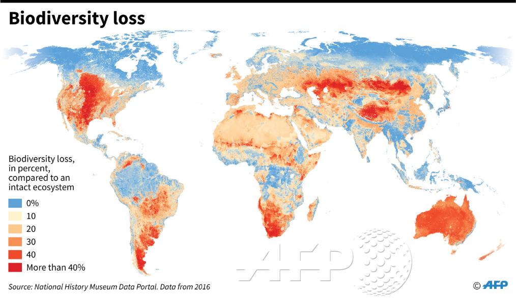 AFP's tweet photo. @marlowehood #UPDATE Map showing #biodiversity loss around the world compared to an intact ecosystem, measured as a percentage.  https://t.co/BPHLu11xo1 #IPBES https://t.co/Yp4ltY7Xq5