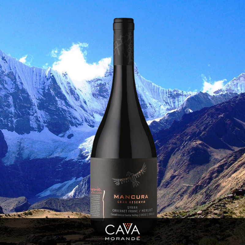 CavaMorande's tweet photo. Mancura Leyenda de los Andes Gran Reserva es un vino complejo y estructurado, pero a la vez fresco y elegante. Sus potentes taninos se complementan con notas de moka, chocolate amargo y canela dulce.  Encuéntralo en: https://t.co/ZlLaqQHi7p https://t.co/I90aeFgh7W