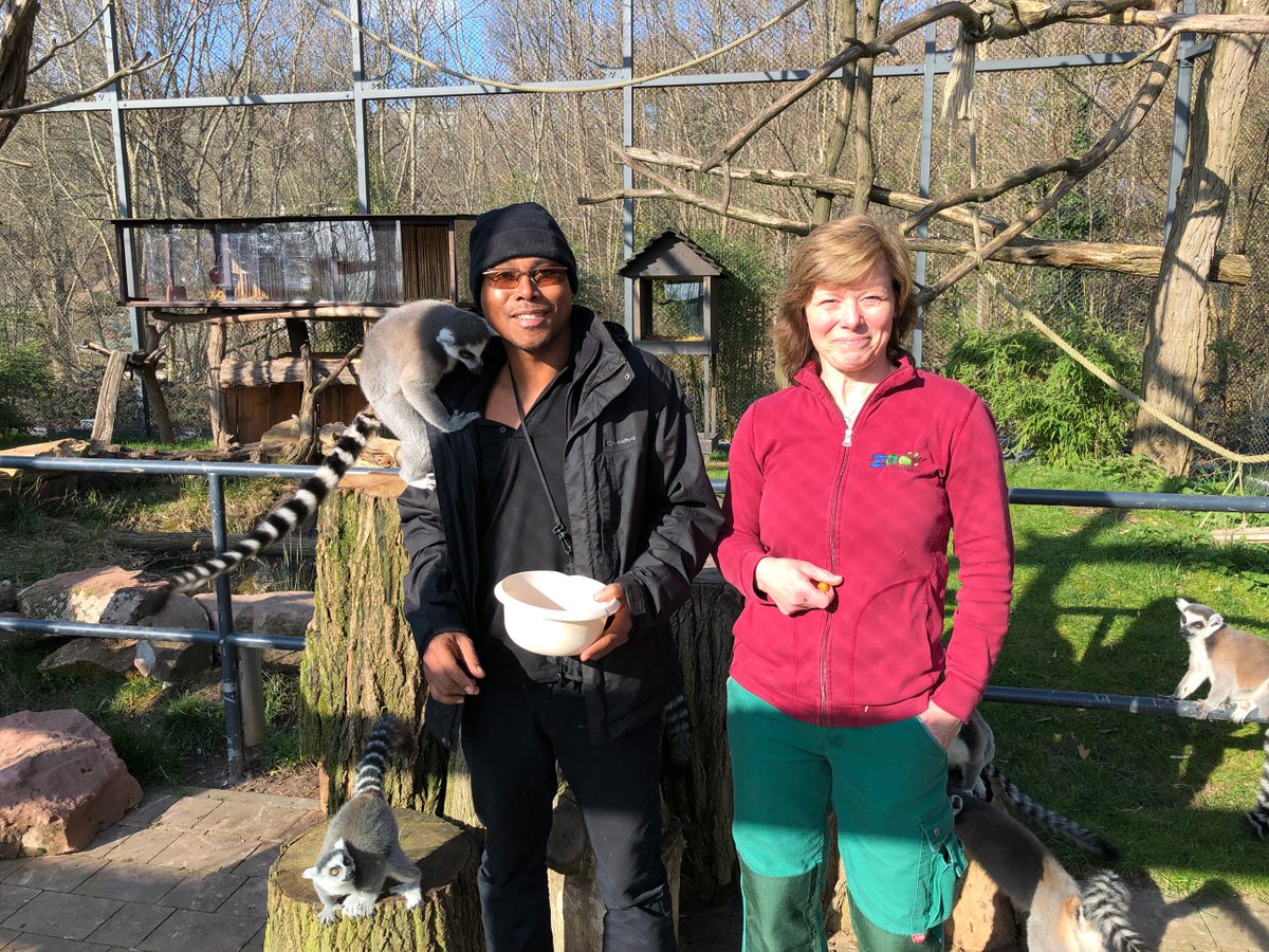 Lemur Association tweet media